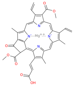 Chlorophyll c3.svg