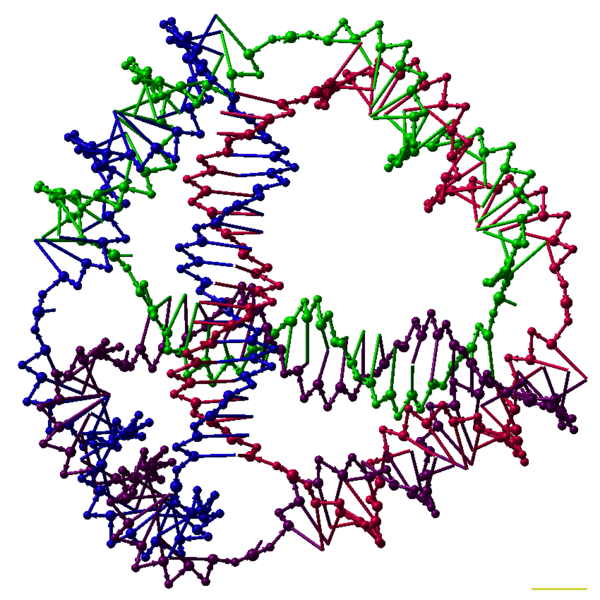 File:DNA tetrahedron white.png