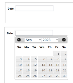 Datepicker.png