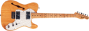 Fender 72 Telecaster Thinline (horizontal).png