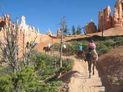 Horseriders in Bryce Canyon-NPS photo.jpg