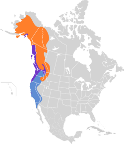 Ixoreus naevius map.svg