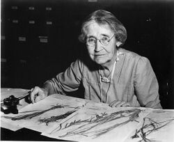 An elderly woman sitting at a desk with dried grass specimens, looking at the camera