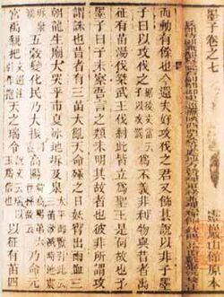 A page covered in Chinese writing