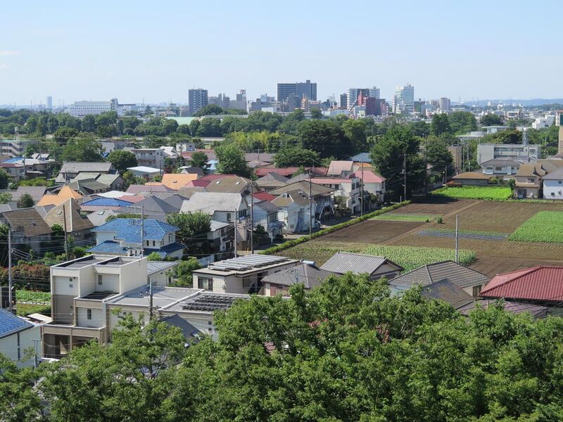 File:Musashino in the afternoon.jpg