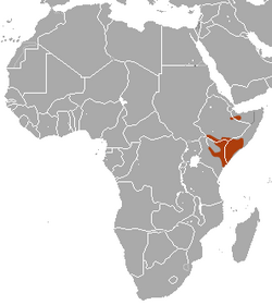 Somali Bushbaby area.png