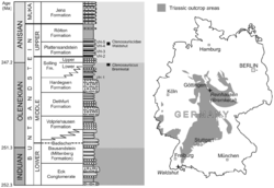 Stratigraphic and geographical data for German ctenosauriscid specimens.png