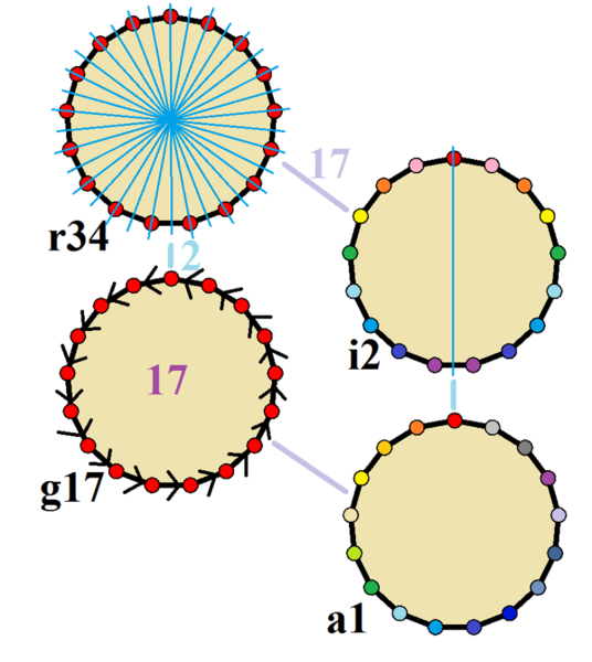 File:Symmetries of heptadecagon.png