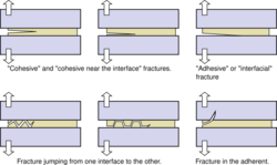 AdhesiveFractures.svg