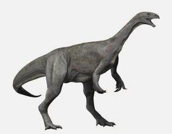Asylosaurus NT.jpg
