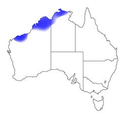 Austroplebeia essingtoni distribution paler.jpg