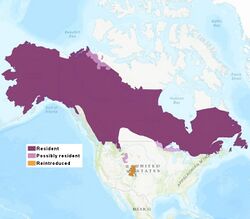 CanadaLynx distribution2016.jpg