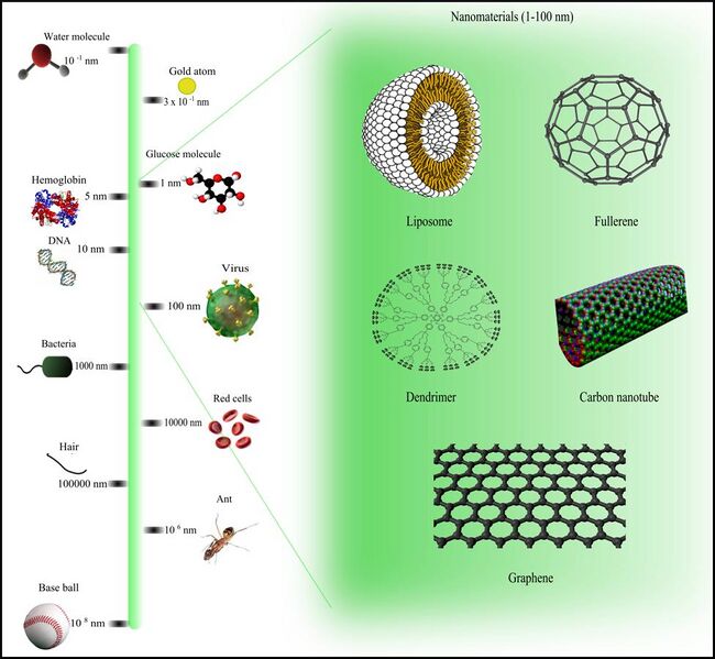 File:Comparison of nanomaterials sizes.jpg