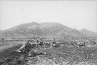 Soldiers wearing flak jackets and helmets are prone on an open field at the base of a large vegetated hill