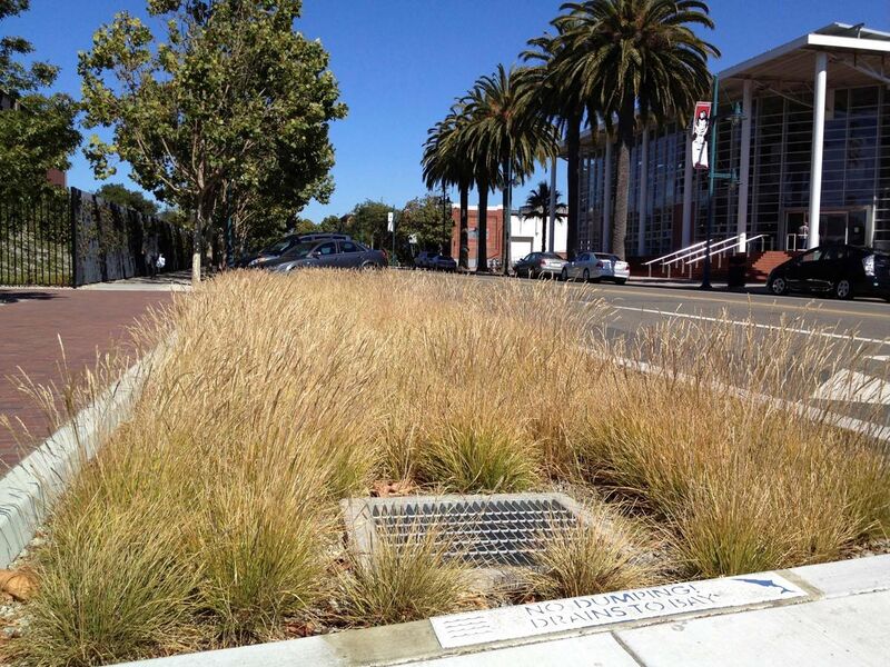 File:Emeryville California Stormwater Curb Extension.jpg