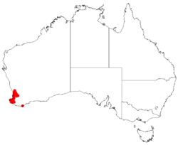 Hakea cyclocarpaDistMap32.png