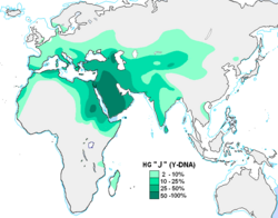 Haplogroup J (Y-DNA).PNG