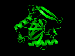 Inorganic pyrophosphatase.png