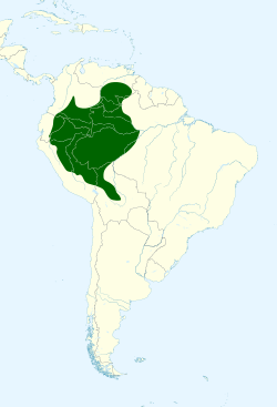 Lepidothrix coronata map.svg