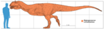 Majungasaurus size chart.png