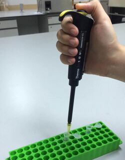 Micropipette in action.jpg