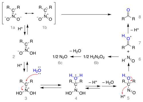The Nef reaction mechanism