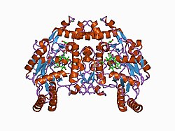 PDB 1d1w EBI.jpg