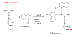 Sakaguchi reaction-en.svg