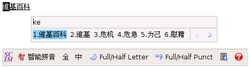 Scim-pinyin-weijibaike.png