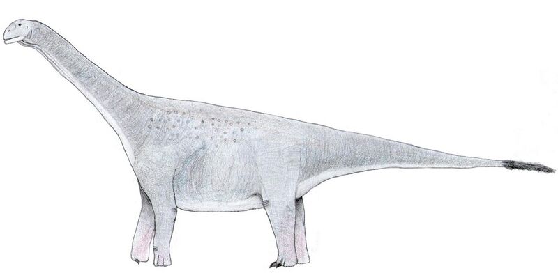 File:Turiasaurus1.jpg