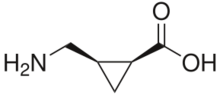 Stereo, skeletal formula of (+)-cis-2-aminomethylcyclopropane carboxylic acid