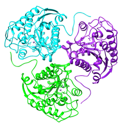 2pha humanarginase.png