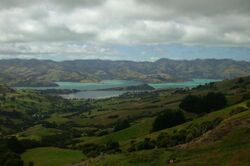 Akaroa-ViewOfHarbour.jpg