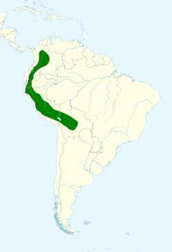 Anoura peruana map.svg