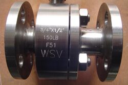 Duplex-valve-A182-F51.JPG