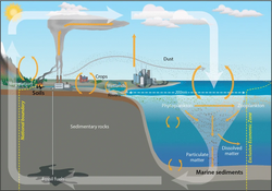 Global carbon cycle.webp