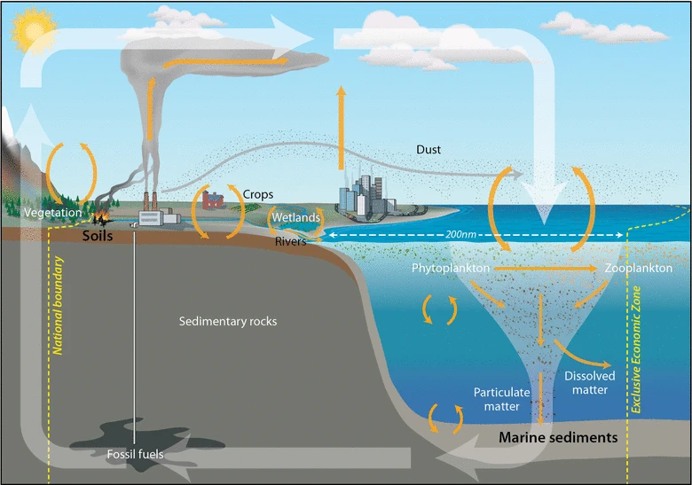 File:Global carbon cycle.webp