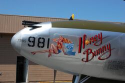 Honey Bunny P-38.JPG