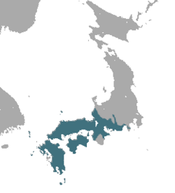 Japanese Mole area.png