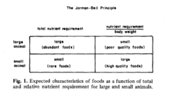 Jarman-Bell Principle.png