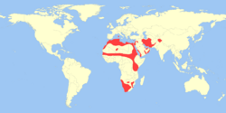 Lepus capensis distribution.svg