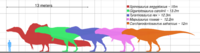 Size comparison of the largest theropods.