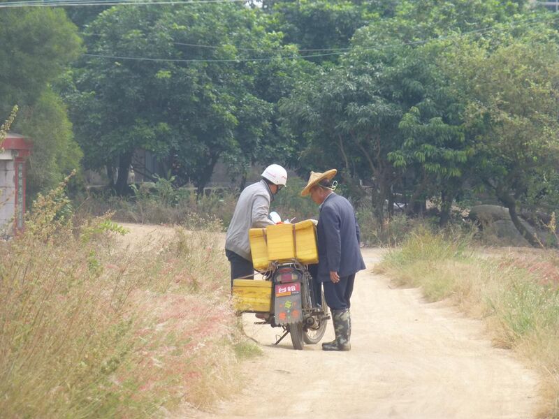 File:Shentu - rural landscape east of Shanwei cun - P1260065.JPG