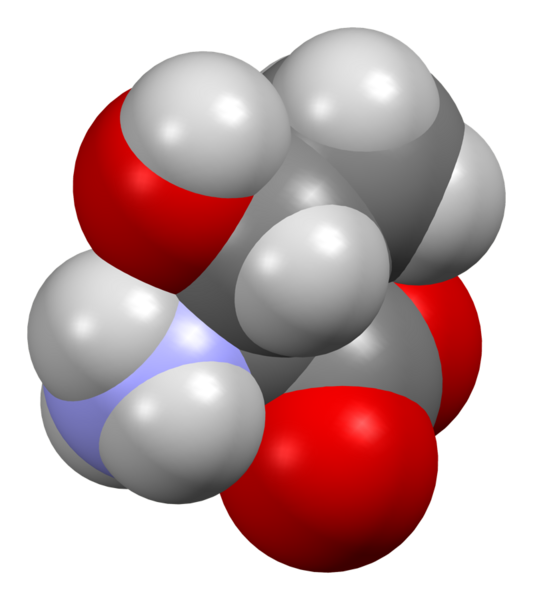 File:Threonine-from-xtal-3D-sf.png