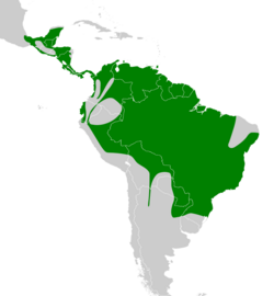 Tolmomyias sulphurescens map.svg