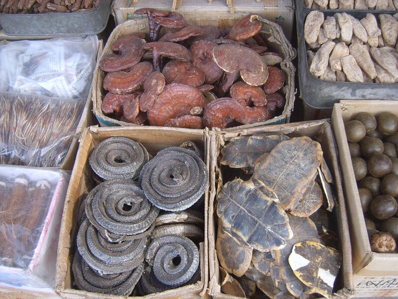 File:Traditional Chinese medicine in Xi'an market.jpg