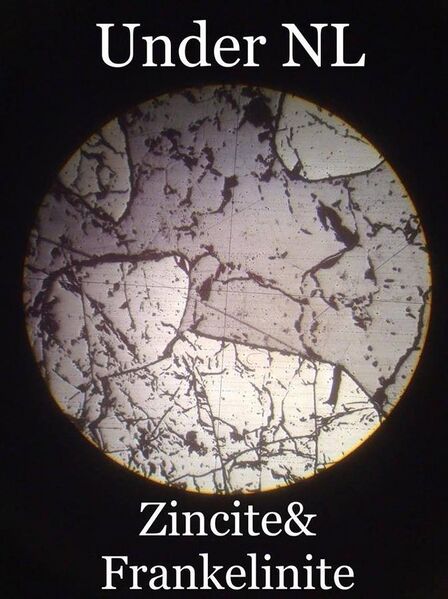 File:Zincite and Franklinite under NL.jpg