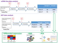 CITE-Seq dry lab figure.jpg