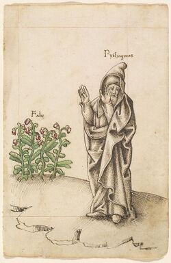 Old manuscript illustration showing a cloaked and hooded man labelled "Pythagoras" raising his arms and turning his face away from a fava bean plant, labelled "Fabe."