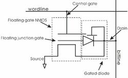 FJG-EC.jpg